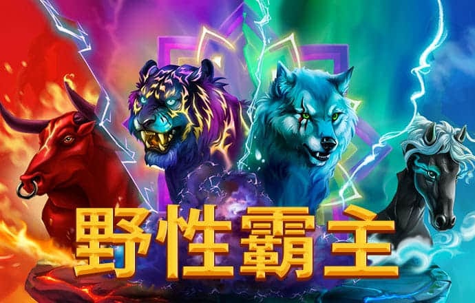 开yun体育app登录入口截图0